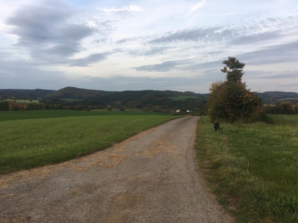 Vulkaneifel Bei Hepp * Schonbach (Vulkaneifel)
