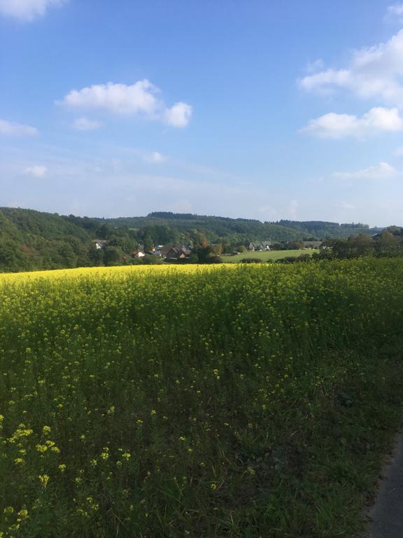 Vulkaneifel Bei Hepp * Schonbach (Vulkaneifel)